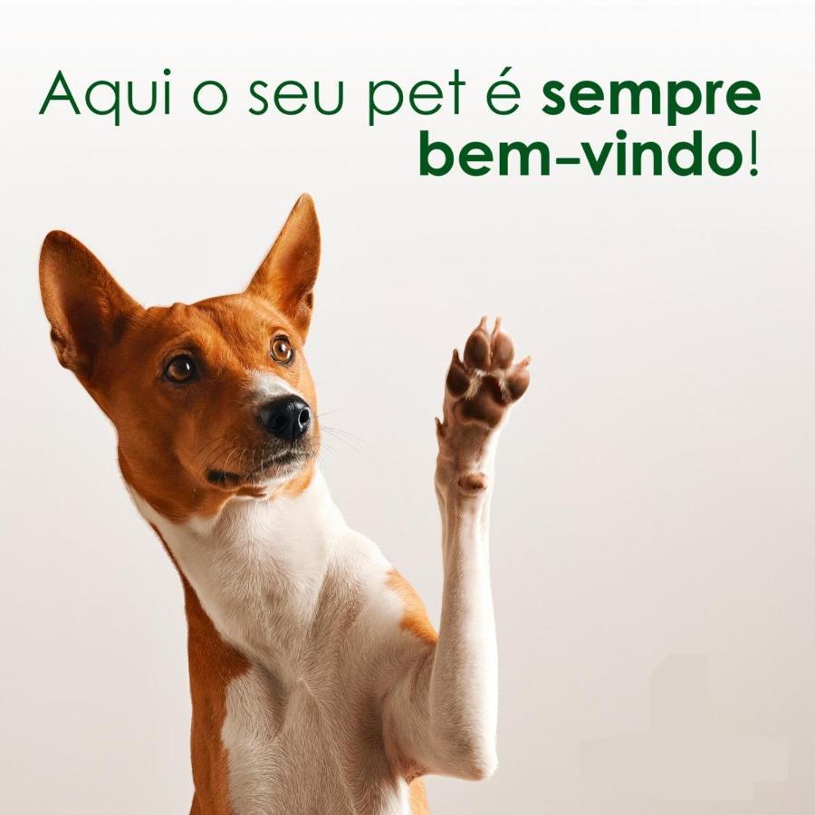 Estiloso E Pertinho Da Praia. Lazer E Trabalho Apartamento Recife